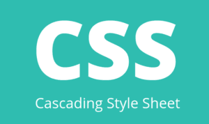 Asal Usul Kode CSS, Fashion Stylist di Dunia Digital!
