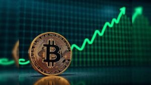Bitcoin Whales Tambah Koleksi, Investor Ritel Malah Jual Rugi