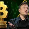 Elon Musk Diprediksi Bakal All-In Bitcoin di 2026, Ini Alasannya