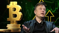 Elon Musk Diprediksi Bakal All-In Bitcoin di 2026, Ini Alasannya