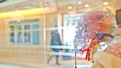 Singapura Kembangkan Komputer Wetware Berbasis Sel Otak, Solusi Hemat Energi Masa Depan 8 Singapura kembangkan komputer wetware berbasis sel otak sebagai inovasi revolusioner dalam dunia teknologi komputasi yang bertujuan mengatasi konsumsi energi tinggi pada sistem berbasis chip silikon.