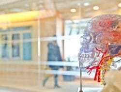 Singapura Kembangkan Komputer Wetware Berbasis Sel Otak, Solusi Hemat Energi Masa Depan