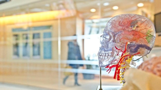 Singapura kembangkan komputer wetware berbasis sel otak sebagai inovasi revolusioner dalam dunia teknologi komputasi yang bertujuan mengatasi konsumsi energi tinggi pada sistem berbasis chip silikon.